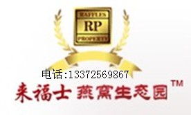 哪里能買到進口優(yōu)質(zhì)燕窩 | 燕窩資產(chǎn)的精致管理與采購指南